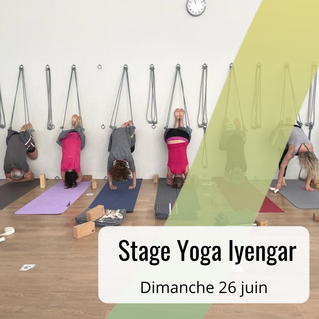 Yoga iyengar Stage