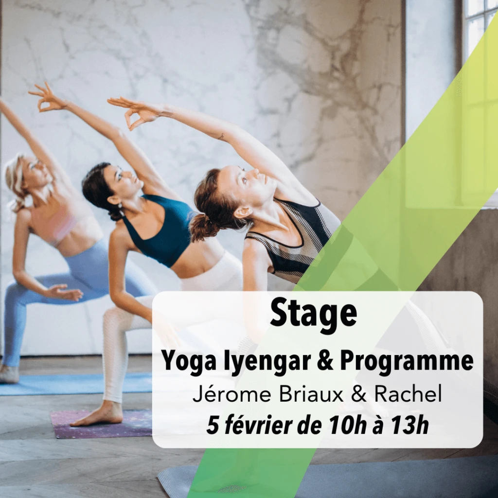 Stage yoga Iyengar Jérome & Rachel